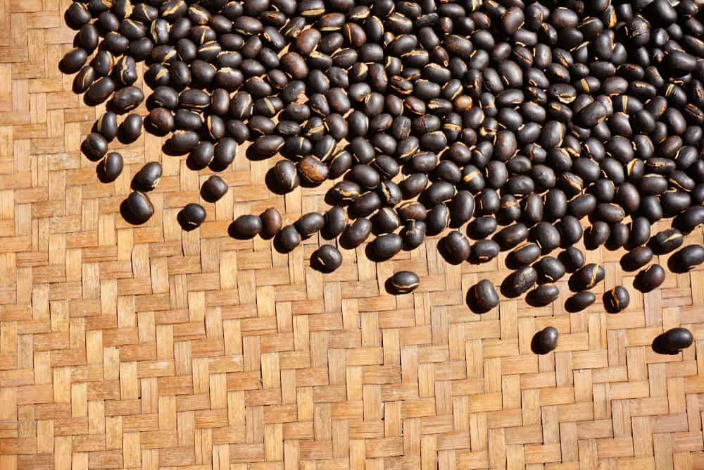 %e1%80%95%e1%80%b2%e1%80%80%e1%80%90%e1%81%b1%e1%80%ae%e1%80%95%e1%80%ab%e1%80%9b%e1%80%b2%e1%82%95-%e1%80%80%e1%80%ba%e1%80%94%e1%80%b9%e1%80%b8%e1%80%99%e1%80%ac%e1%80%b1%e1%80%9b%e1%80%b8%e1%80%a1