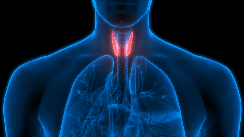 hypothyroidism
