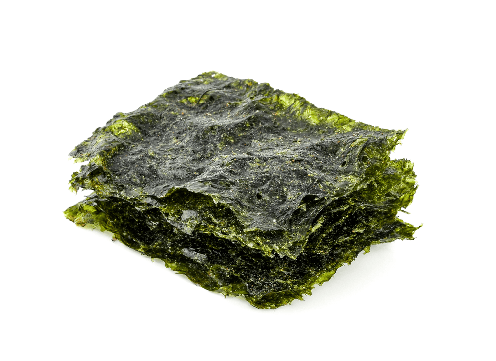 %e1%80%9b%e1%80%b1%e1%80%8a%e1%80%be%e1%80%ad%e1%80%80%e1%80%bc%e1%80%ad%e1%80%af%e1%80%80%e1%80%ba%e1%80%9e%e1%80%b0%e1%80%90%e1%80%bd%e1%80%b1%e1%80%a1%e1%80%90%e1%80%bd%e1%80%80%e1%80%ba-2