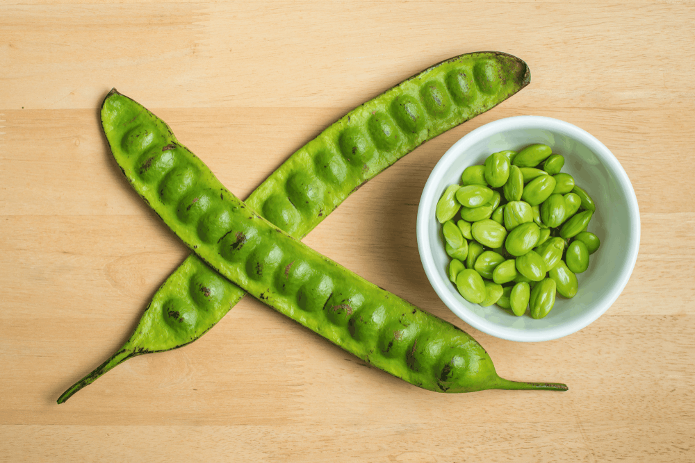 %e1%80%90%e1%80%94%e1%80%ba%e1%80%96%e1%80%ad%e1%80%af%e1%80%b8%e1%80%91%e1%80%ac%e1%80%b8%e1%80%95%e1%80%bc%e1%80%ae%e1%80%b8-%e1%80%9d%e1%80%9a%e1%80%ba%e1%80%85%e1%80%ac%e1%80%b8%e1%80%80%e1%80%bc