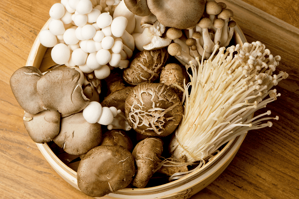 %e1%80%99%e1%80%be%e1%80%ad%e1%80%af%e1%80%80%e1%80%bc%e1%80%ad%e1%80%af%e1%80%80%e1%80%ba%e1%80%90%e1%80%90%e1%80%ba%e1%80%90%e1%80%b2%e1%80%b7-%e1%80%9c%e1%80%b0%e1%80%80%e1%80%bc%e1%80%ae%e1%80%b8