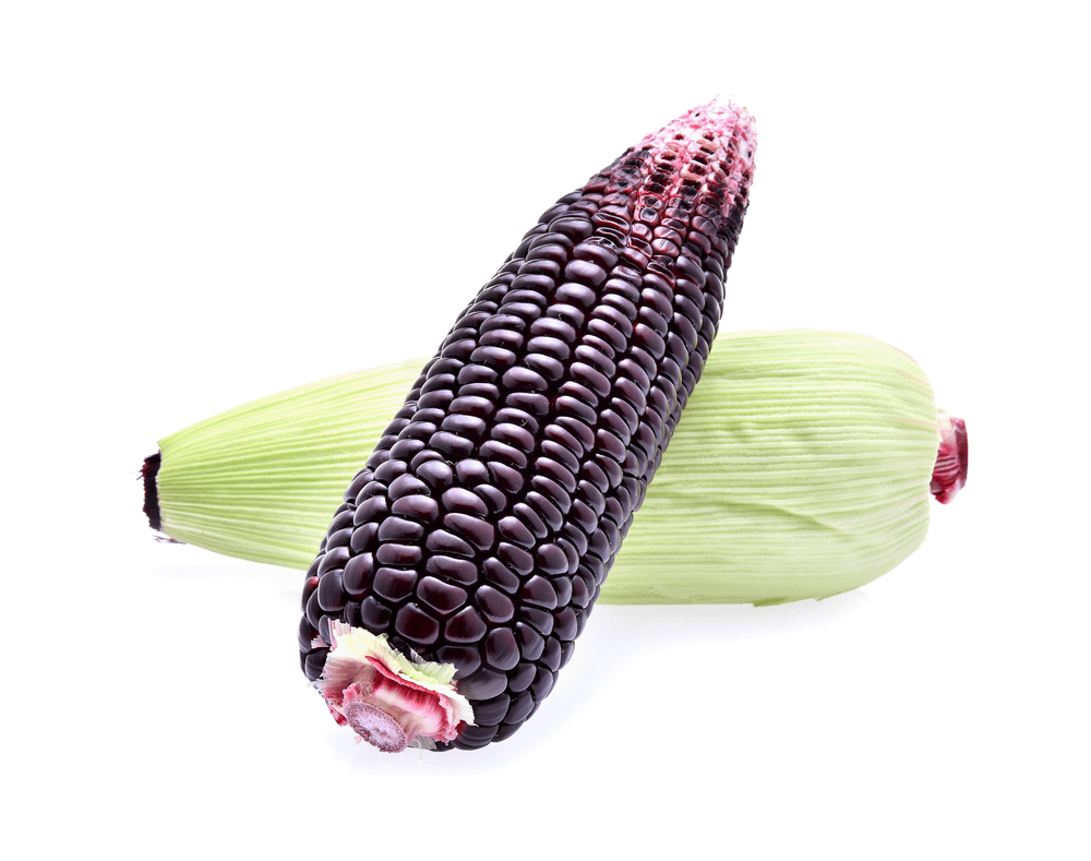 %e1%80%86%e1%80%ae%e1%80%b8%e1%80%81%e1%80%ba%e1%80%ad%e1%80%b3%e1%80%9e%e1%80%99%e1%80%ac%e1%80%b8%e1%80%b1%e1%80%90%e1%80%bc%e1%80%a1%e1%80%90%e1%80%bc%e1%80%80%e1%80%b9-%e1%80%9e%e1%80%84%e1%80%b9