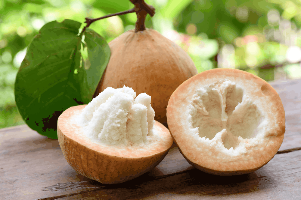 %e1%80%9e%e1%80%85%e1%80%ba%e1%80%90%e1%80%ad%e1%80%af%e1%80%9e%e1%80%ae%e1%80%b8%e1%80%9b%e1%80%b2%e1%80%b7-%e1%80%80%e1%80%bb%e1%80%94%e1%80%ba%e1%80%b8%e1%80%99%e1%80%ac%e1%80%9b%e1%80%b1%e1%80%b8