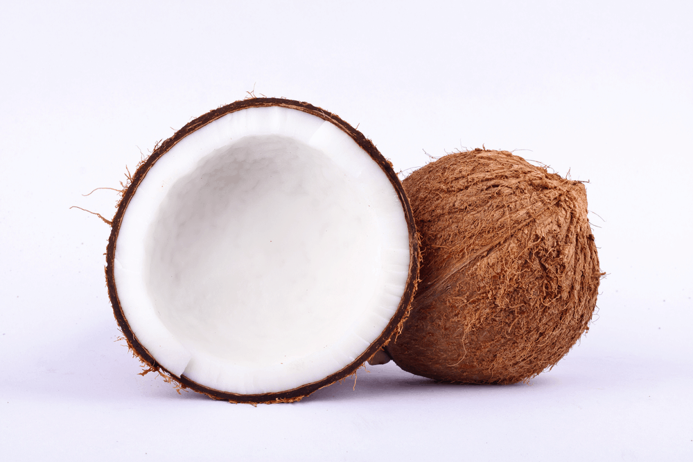 coconut-meat