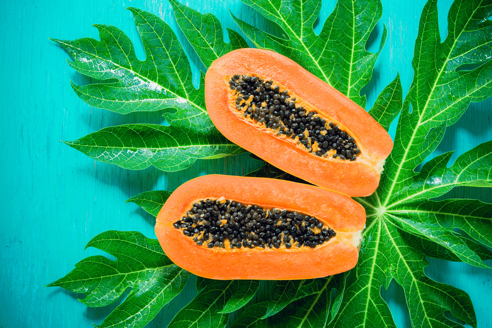 %e1%80%9e%e1%80%b1%e1%80%98%e1%81%a4%e1%80%ac%e1%80%9b%e1%80%bc%e1%80%80%e1%80%b9%e1%80%a1%e1%80%b1%e1%81%be%e1%80%80%e1%80%ac%e1%80%84%e1%80%b9%e1%80%b8-%e1%80%90%e1%80%b1%e1%80%85%e1%80%b7%e1%80%90