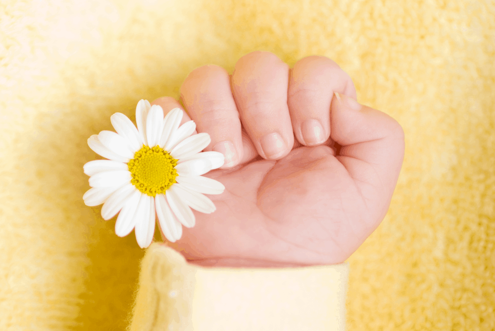 %e1%80%95%e1%80%ad%e1%80%af%e1%80%b8%e1%80%9e%e1%80%90%e1%80%ba%e1%80%86%e1%80%b1%e1%80%b8%e1%80%9e%e1%80%af%e1%80%b6%e1%80%b8%e1%80%91%e1%80%ac%e1%80%b8%e1%80%90%e1%80%b2%e1%80%b7-%e1%80%95