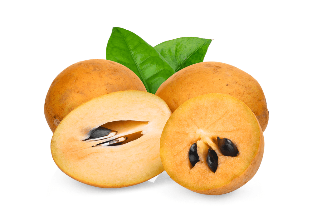 %e1%80%9e%e1%80%80%e1%80%bc%e1%80%ac%e1%80%b8%e1%80%9e%e1%80%ae%e1%80%b8%e1%80%80%e1%80%bc%e1%80%ad%e1%80%af%e1%80%80%e1%80%ba%e1%80%9e%e1%80%b0%e1%80%90%e1%80%bd%e1%80%b1%e1%80%a1%e1%80%90%e1%80%bd