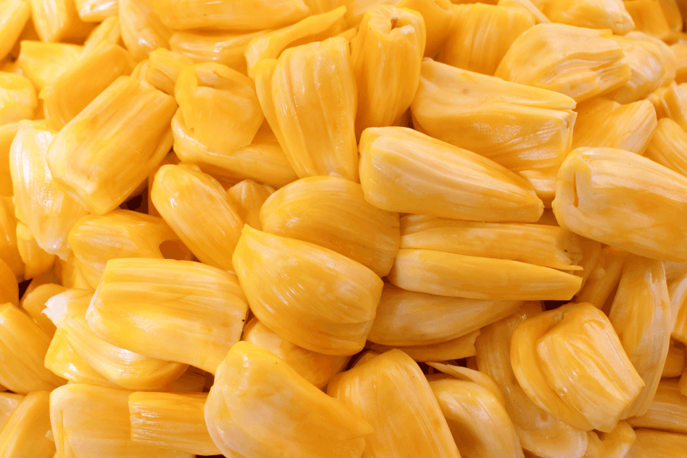 eating-jackfruit-during-pregnancy