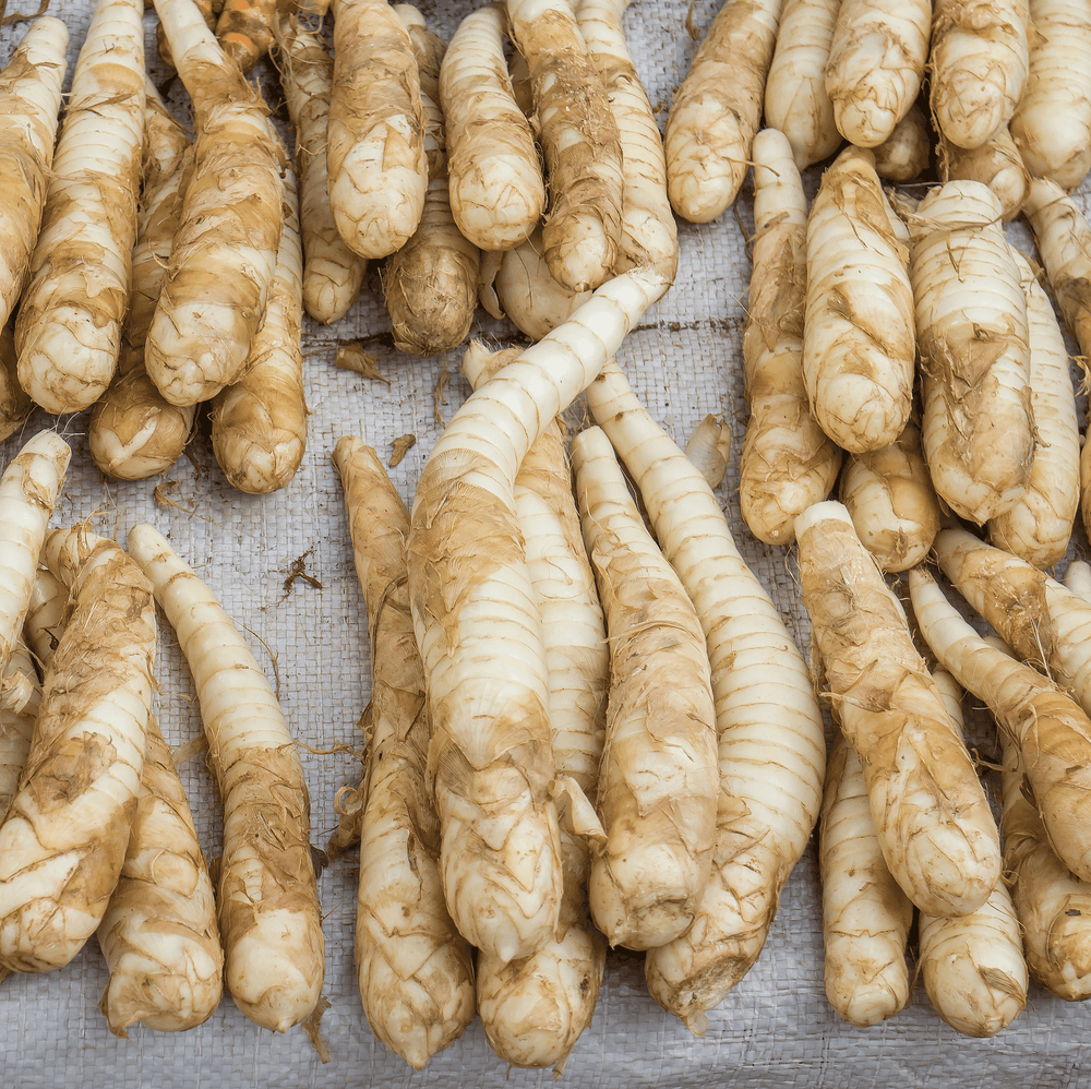 %e1%80%a1%e1%80%ac%e1%80%9f%e1%80%ac%e1%80%9b%e1%80%94%e1%80%b2%e1%82%94-%e1%80%b1%e1%80%86%e1%80%b8%e1%80%96%e1%80%80%e1%80%b9%e1%80%9d%e1%80%84%e1%80%b9%e1%80%a1%e1%80%ac%e1%80%94%e1%80%ad%e1%80%9e