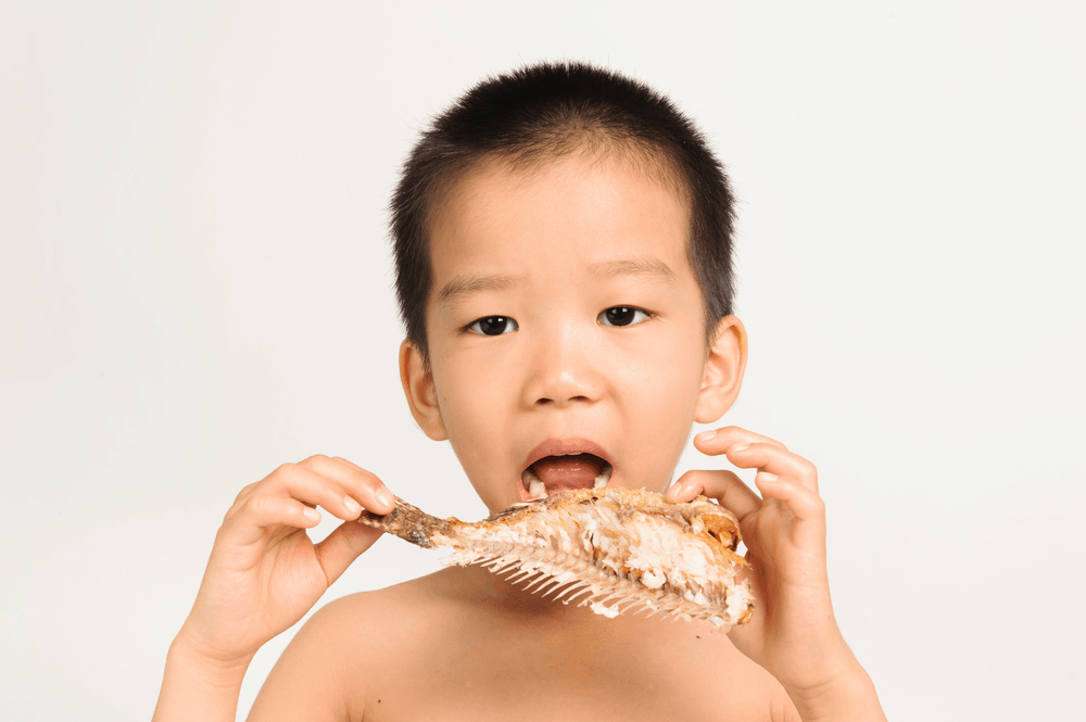 when-can-my-baby-eat-fish