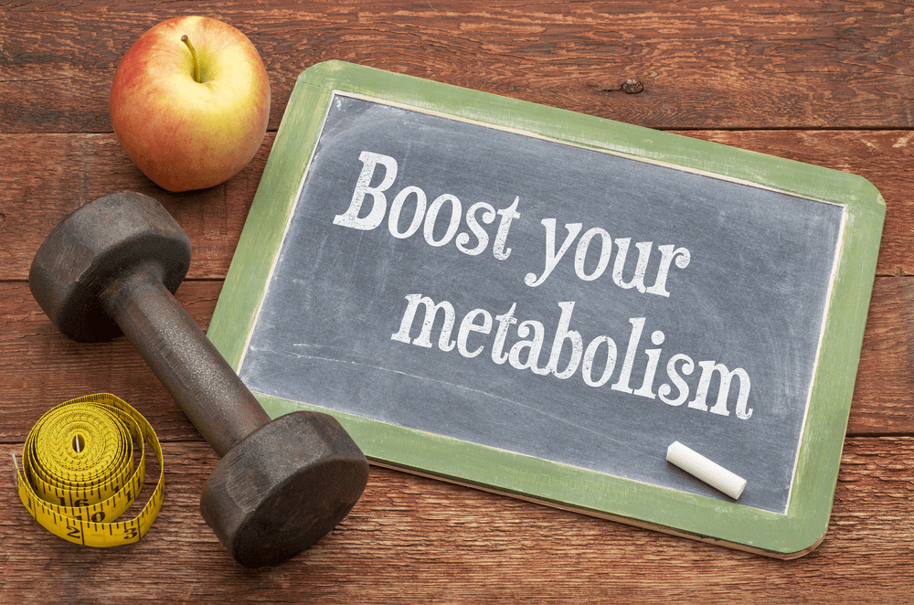 what-is-metabolism