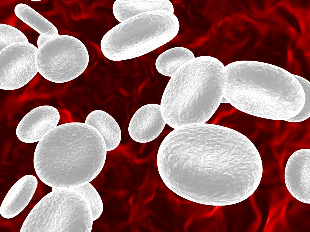 %e1%80%b1%e1%80%9e%e1%80%bc%e1%80%b8%e1%80%bb%e1%80%96%e1%80%b4%e1%80%a5%e1%80%99%e1%80%ba%e1%80%ac%e1%80%b8%e1%80%b1%e1%80%94%e1%80%90%e1%80%9a%e1%80%b9-%e1%80%98%e1%80%ac%e1%80%85%e1%80%ac%e1%80%b8