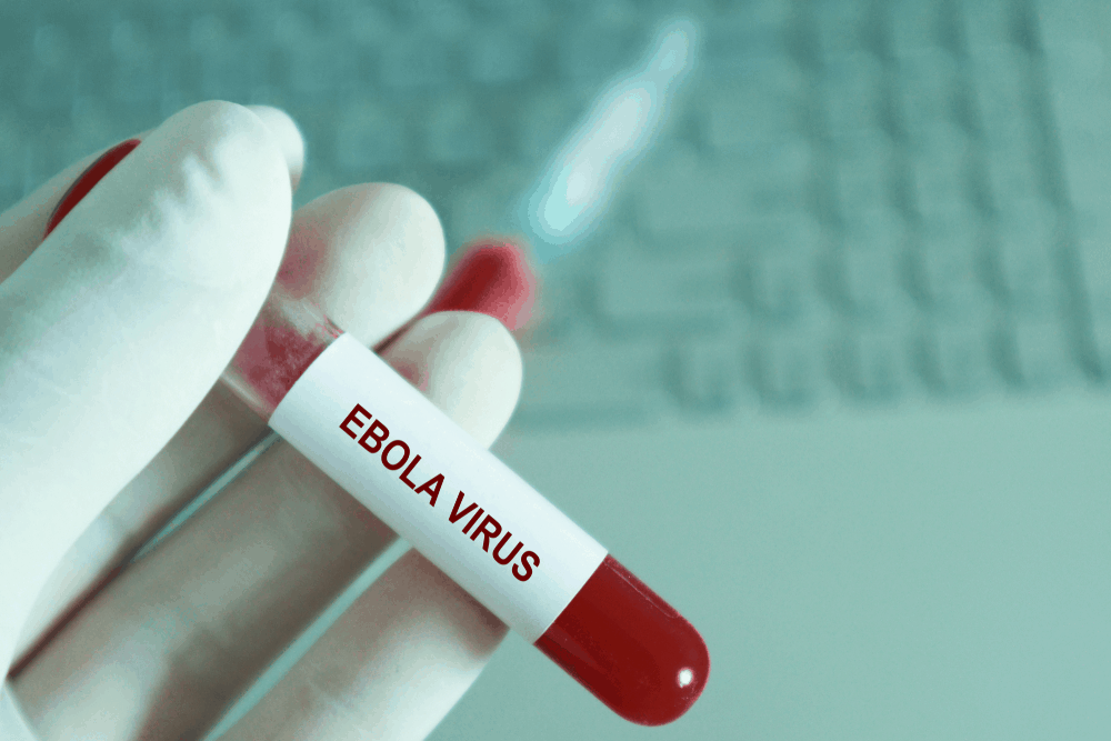 အီဘိုလာ (Ebola) ဆိုသည်မှာ