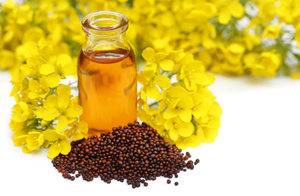 ငယ်ငယ်က မေမေလူးပေးတဲ့မုန်ညှင်းဆီ