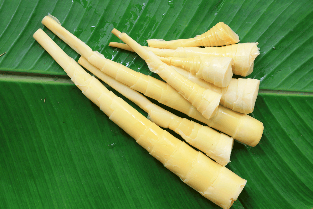 မျှစ်ကြိုက်တဲ့သူလေးတွေရှိလား