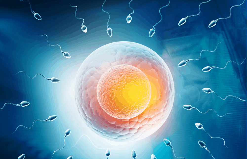 %e1%80%9e%e1%80%af%e1%80%80%e1%80%ba%e1%80%95%e1%80%ad%e1%80%af%e1%80%b8%e1%80%94%e1%80%b2%e1%80%b7%e1%80%95%e1%80%90%e1%80%ba%e1%80%9e%e1%80%80%e1%80%ba%e1%80%90%e1%80%b2%e1%80%b7-%e1%80%a1%e1%80%9c