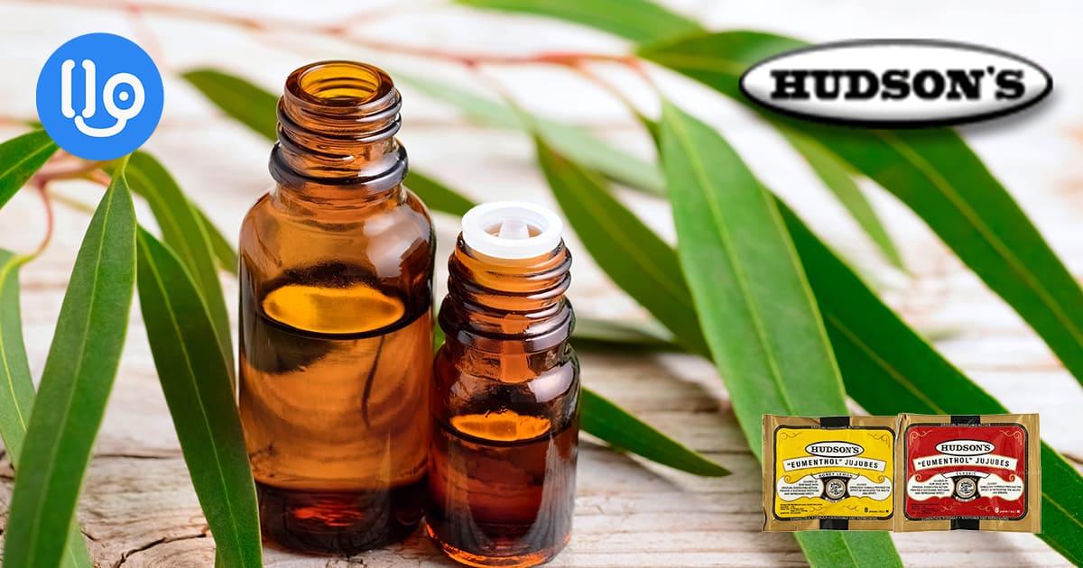 ယူကလစ်အဆီ(Eucalyptus Oil) နဲ့ Acacia Gum တို့က ကျန်းမာရေးအတွက် ဘာတွေစွမ်းသလဲ
