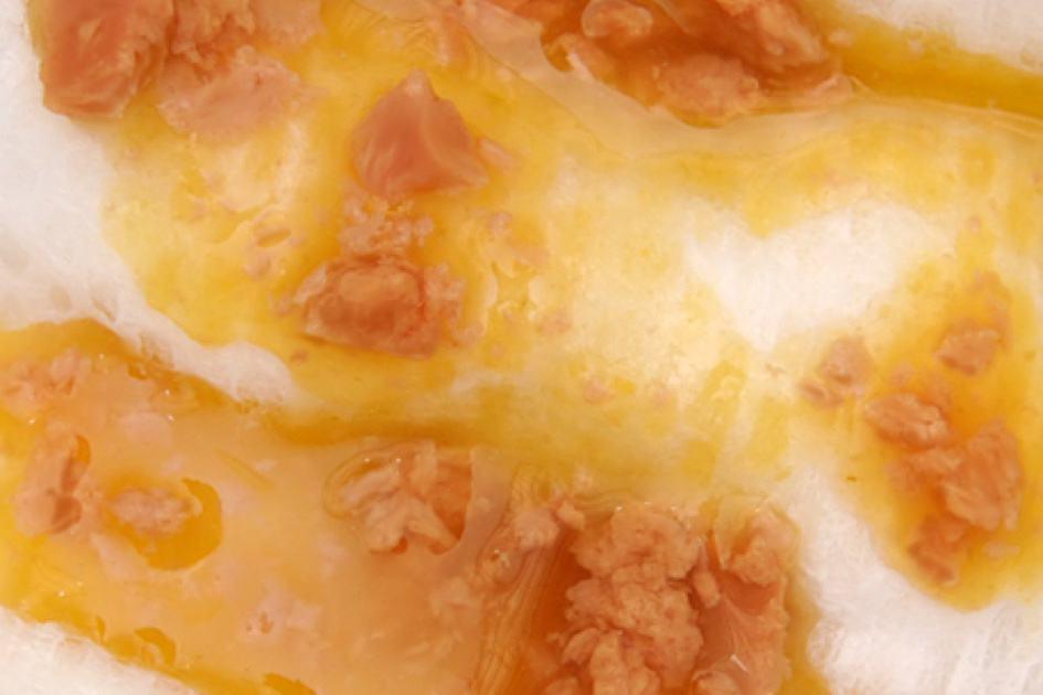 အရည်ပါတဲ့ ခပ်ပျောပျော့ အညိုရောင်ဝမ်း