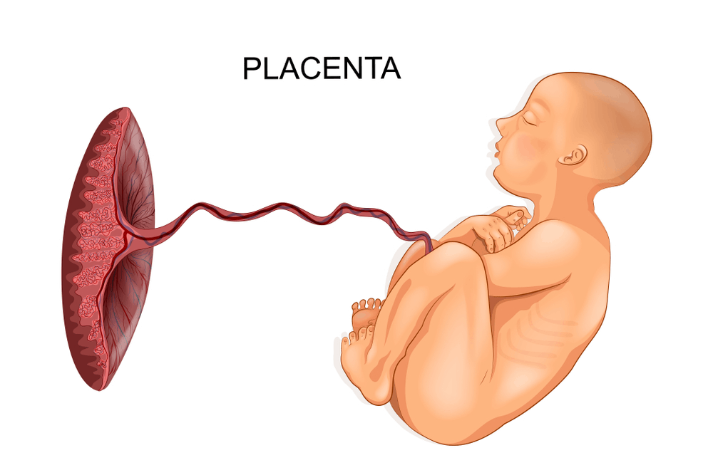 placenta-problems