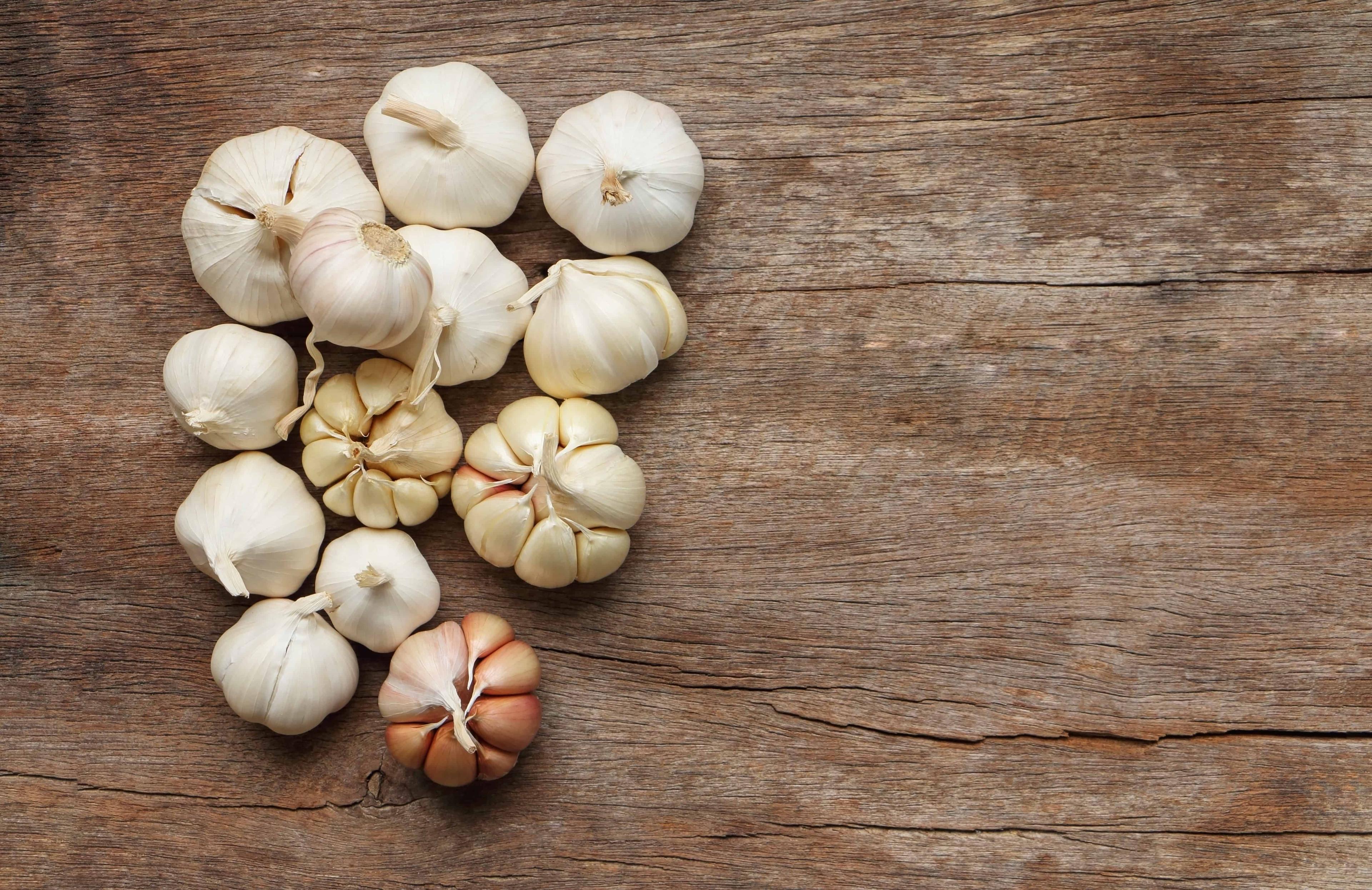 %e1%80%a1%e1%80%a1%e1%80%b1%e1%80%b8%e1%80%99%e1%80%ad%e1%80%9d%e1%80%b1%e1%80%92%e1%80%94%e1%80%ac%e1%80%80%e1%80%ad%e1%80%af-%e1%80%80%e1%80%bc%e1%80%80%e1%80%ba%e1%80%9e%e1%80%bd%e1%80%94%e1%80%ba