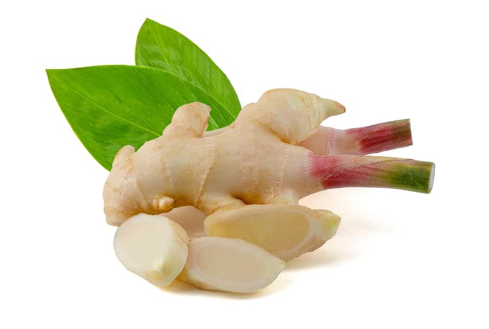 galangal-root