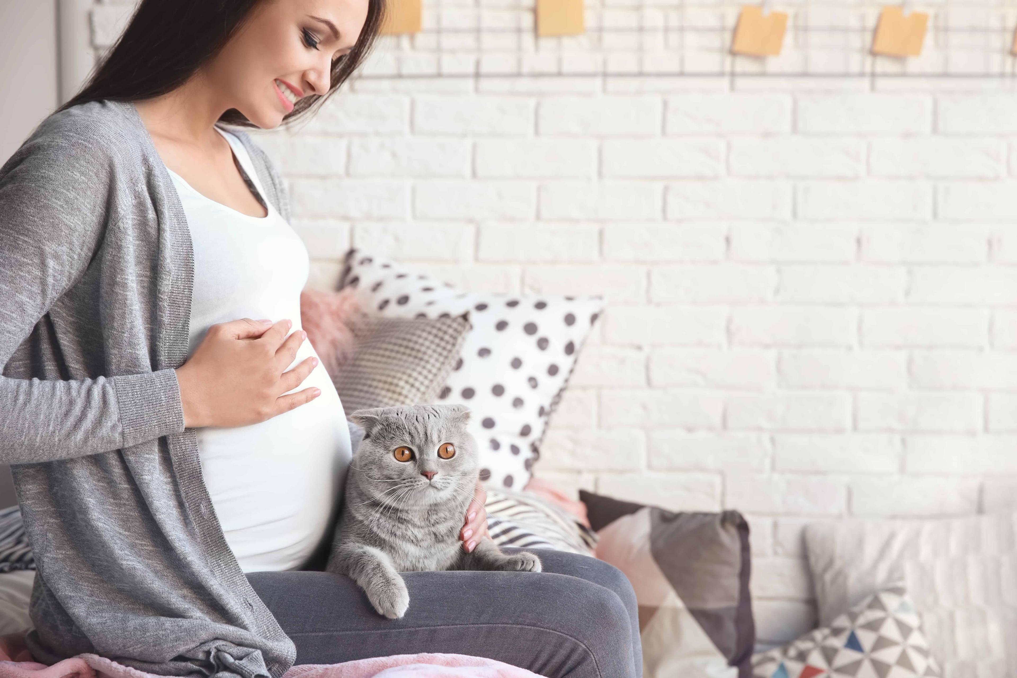 is-it-safe-to-have-kitty-during-pregnancy