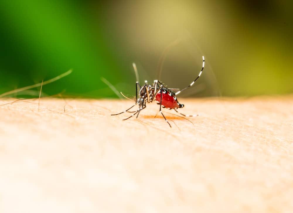 %e1%80%9b%e1%80%ac%e1%80%9e%e1%80%ae%e1%80%a5%e1%80%90%e1%80%af%e1%80%b1%e1%80%bb%e1%80%95%e1%80%ac%e1%80%84%e1%80%b9%e1%80%b8%e1%80%9c%e1%80%b2%e1%80%99%e1%82%88%e1%80%b1%e1%81%be%e1%80%80%e1%80%ac