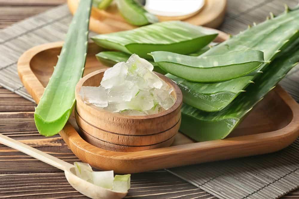 amazing-uses-aloe-vera