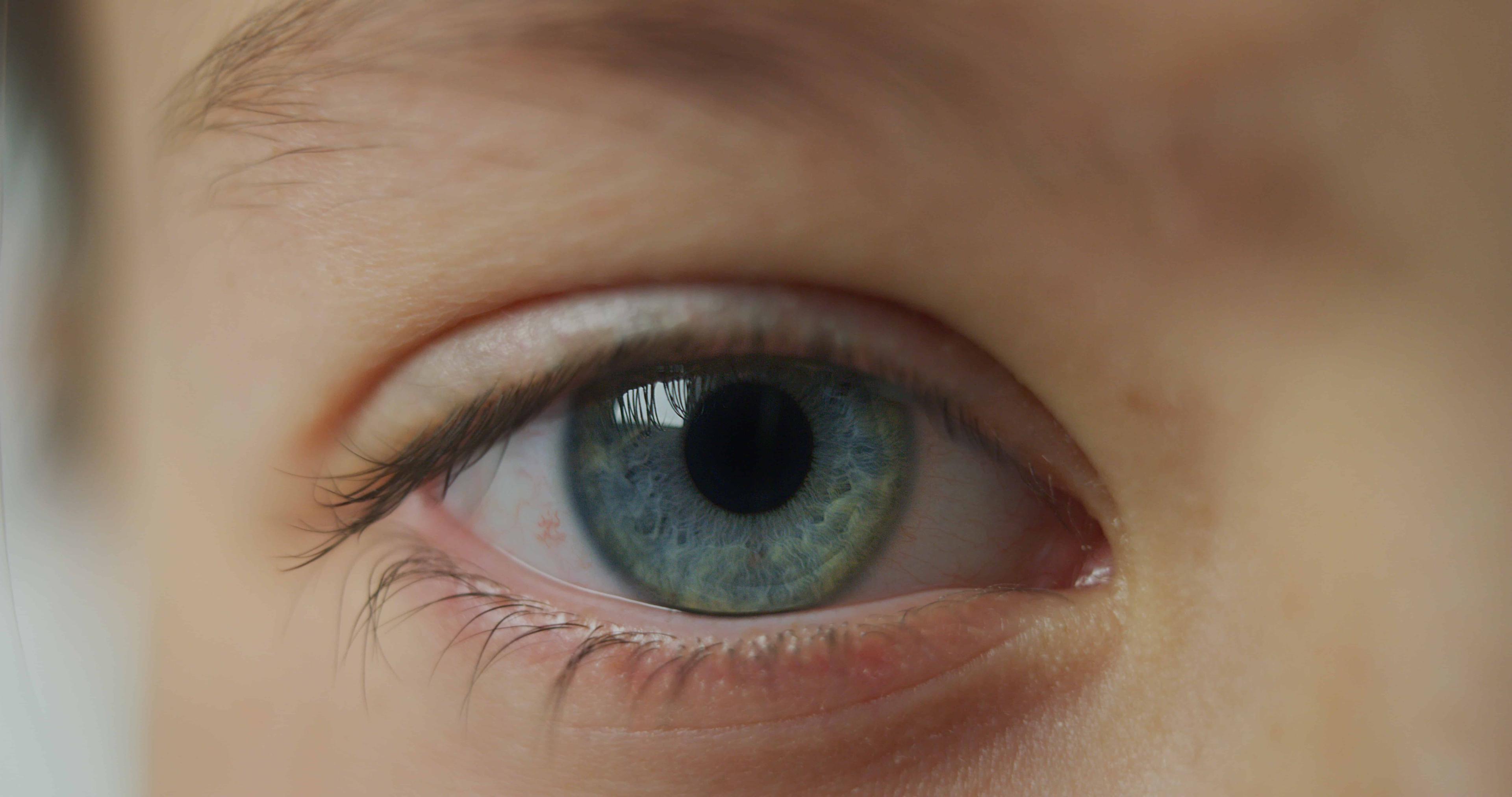 %e1%80%80%e1%80%9c%e1%80%b1%e1%80%b8%e1%80%84%e1%80%9a%e1%80%ba%e1%80%99%e1%80%bb%e1%80%ac%e1%80%b8%e1%80%90%e1%80%bd%e1%80%84%e1%80%ba%e1%80%96%e1%80%bc%e1%80%85%e1%80%ba%e1%80%9e%e1%80%b1%e1%80%ac