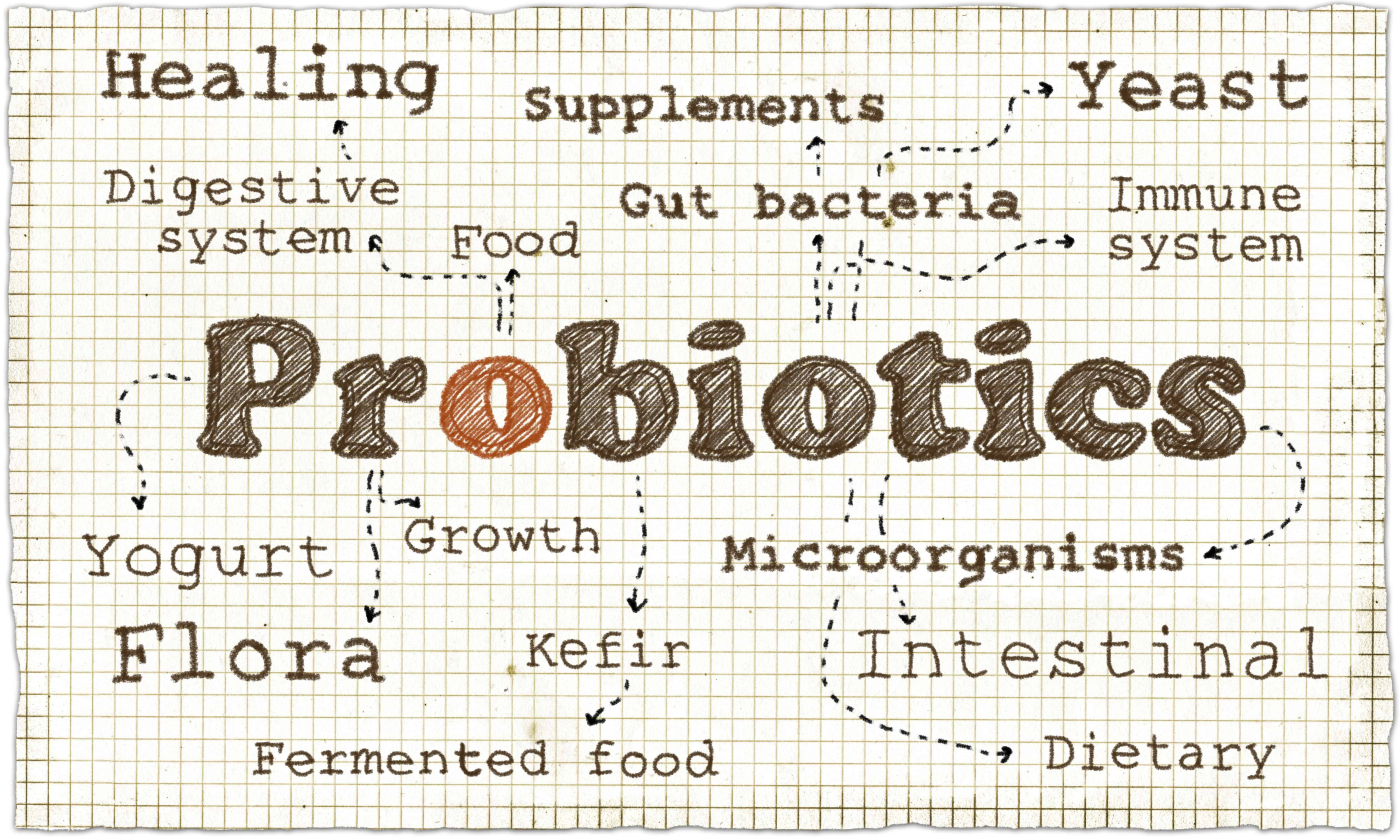 Probiotics ဘယ်ကစ