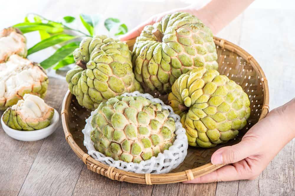 သြဇာသီး ရဲ့ကျန်းမာရေး ကောင်းကျိုး ၂၁ ချက်