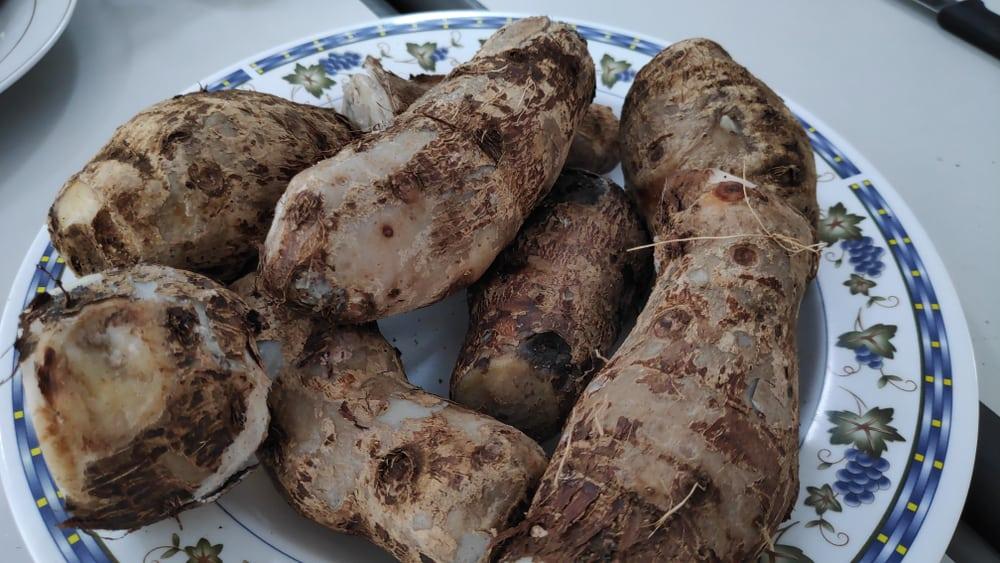 %e1%80%95%e1%80%ad%e1%80%94%e1%80%ba%e1%80%b8%e1%80%a5-%e1%80%9b%e1%80%b2%e1%80%b7-%e1%80%80%e1%80%bb%e1%80%94%e1%80%ba%e1%80%b8%e1%80%99%e1%80%ac%e1%80%9b%e1%80%b1%e1%80%b8%e1%80%a1%e1%80%80%e1%80%bb