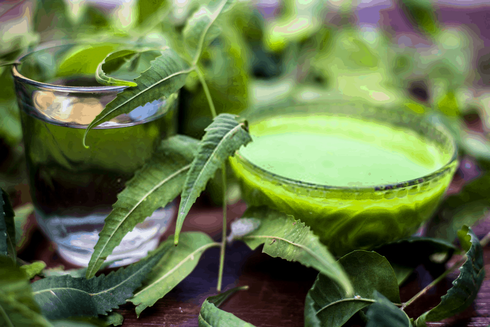 %e1%80%90%e1%80%99%e1%80%ac-%e1%80%86%e1%80%b1%e1%80%b8%e1%80%96%e1%80%80%e1%80%ba%e1%80%9d%e1%80%84%e1%80%ba%e1%80%9e%e1%80%b1%e1%80%ac%e1%80%ba%e1%80%9c%e1%80%8a%e1%80%ba%e1%80%b8-%e1%80%a1%e1%80%9b