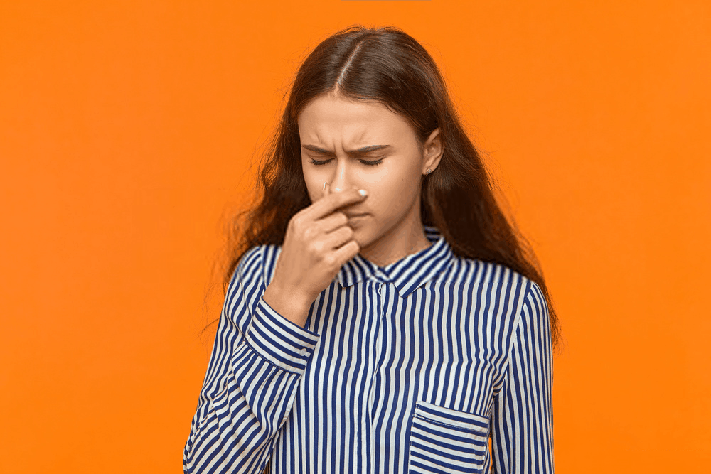 %e1%80%86%e1%80%b6%e1%80%95%e1%80%84%e1%80%ba-3