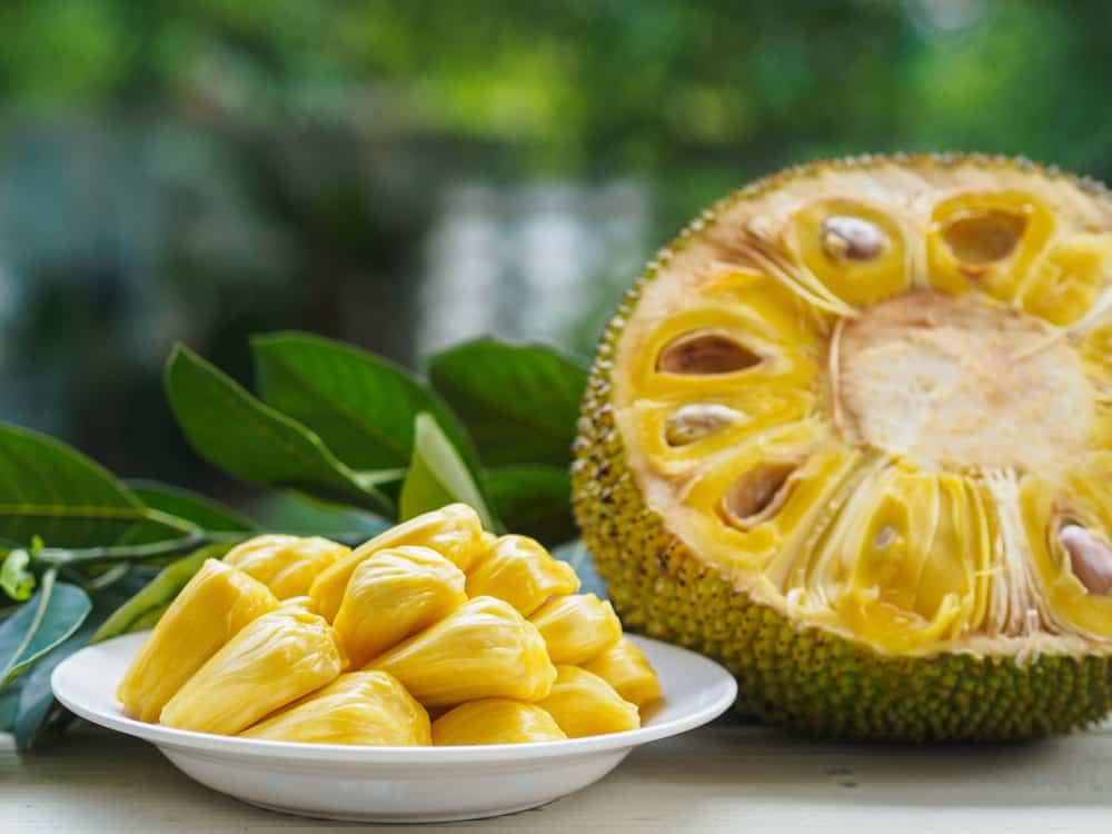 benefits-of-jack-fruit