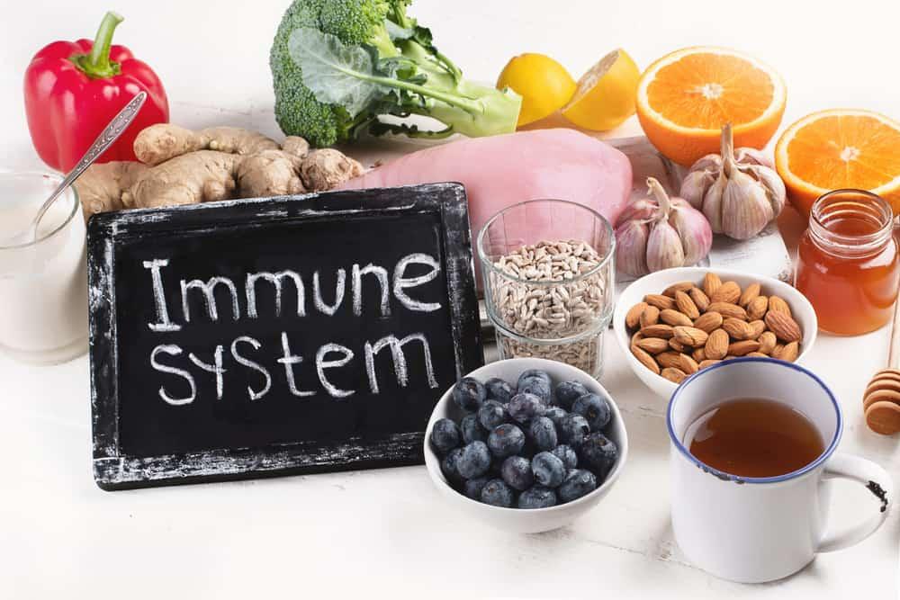 protein-immune