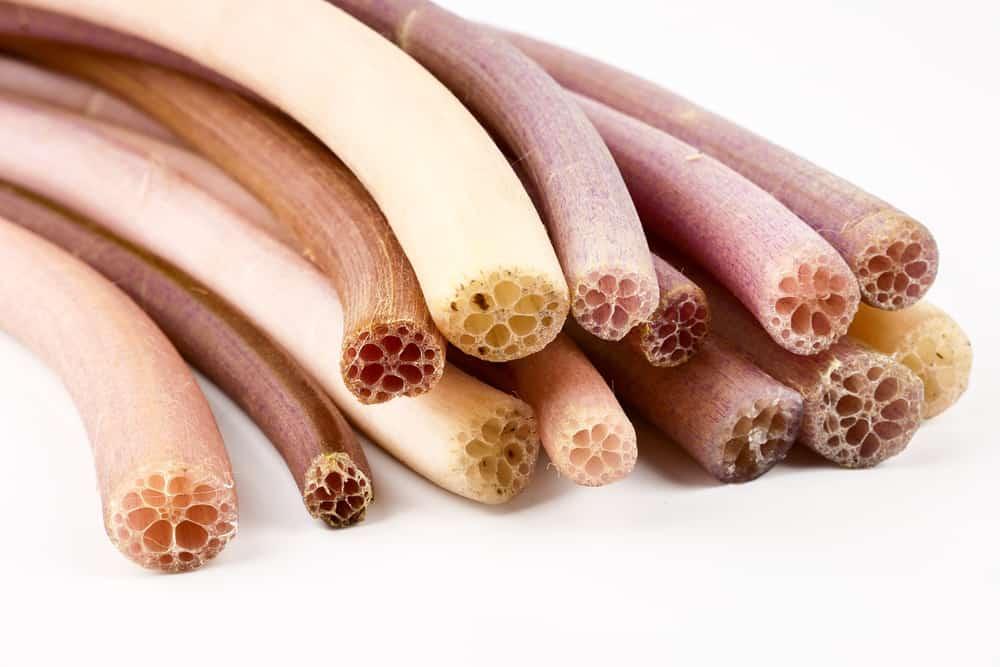 benefits-of-lotus-stem