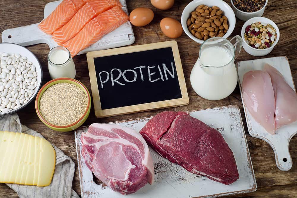 protein-myths-facts