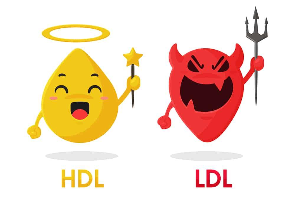 အကျိုးပြု HDL ကိုလက်စထရောမြင့်စေသော အစားအစာများ