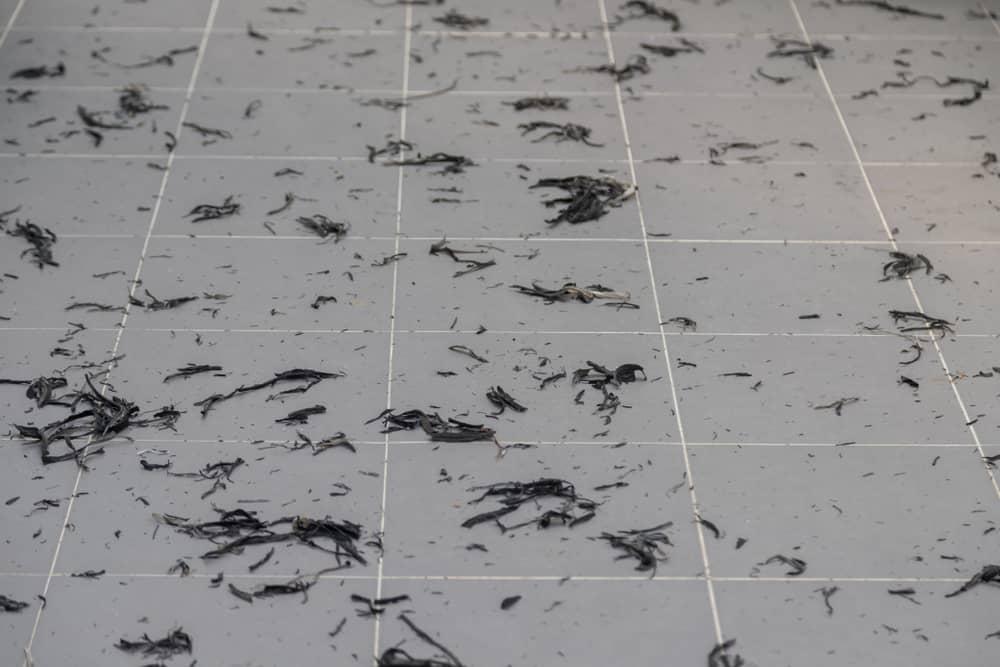 ash-is-hazardous-to-your-health