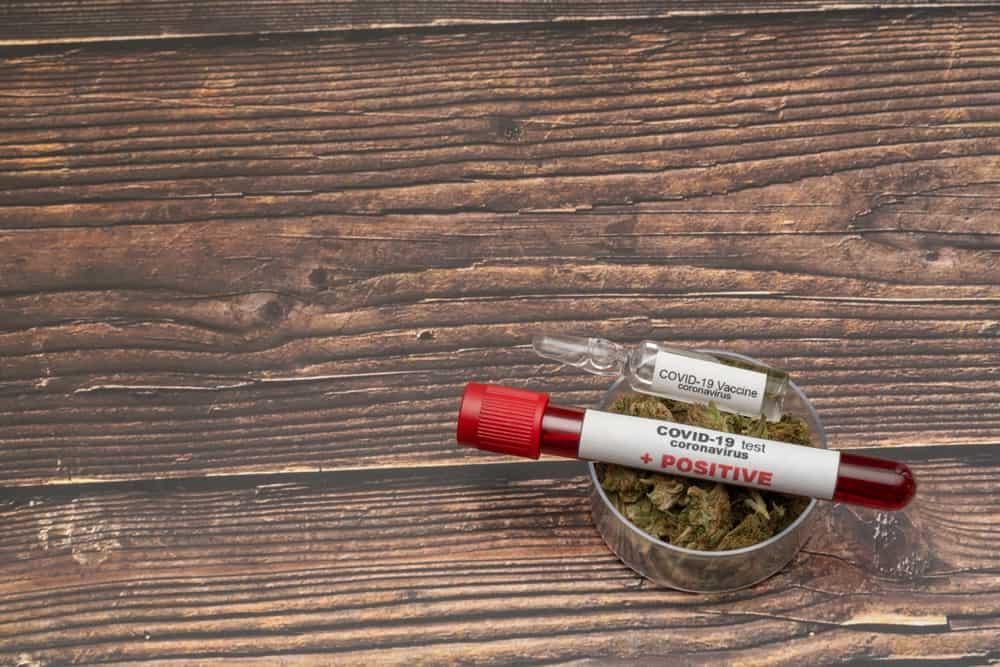 Cannabis နဲ့ COVID-19