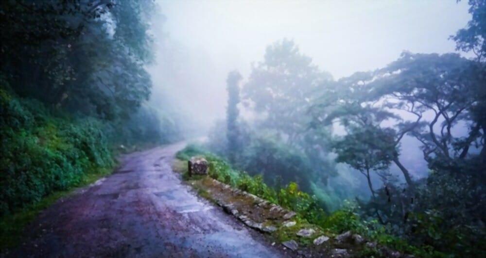 monsoon-diseases-in-the-elderly-people