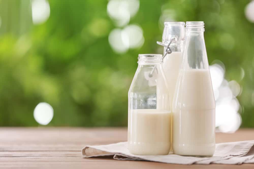လက်တို့စ်မပါသော နွားနို့ (Lactose free milk) အကြောင်း