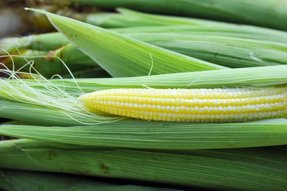 Baby Corn နဲ့ ကျန်းမာရေး