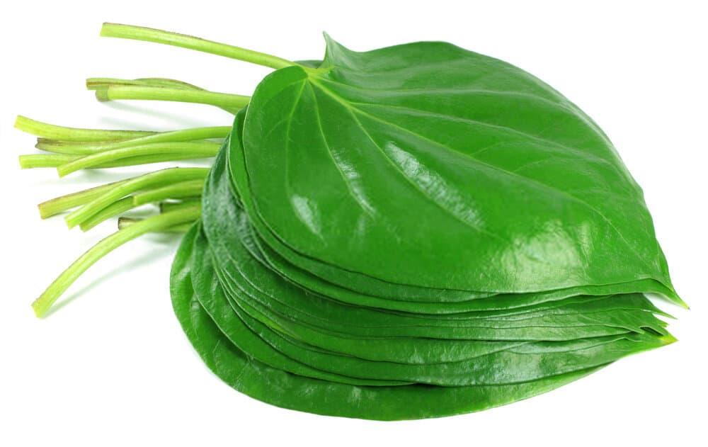 %e1%80%80%e1%80%bd%e1%80%99%e1%80%ba%e1%80%b8%e1%80%9b%e1%80%bd%e1%80%80%e1%80%ba