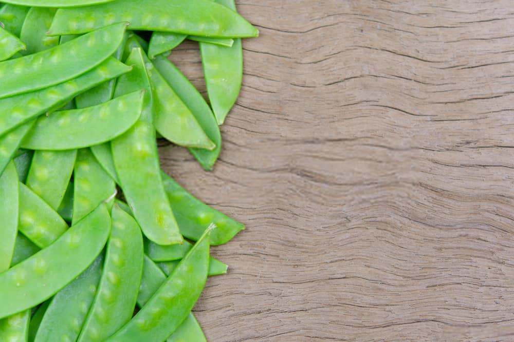 %e1%80%9b%e1%80%bd%e1%80%be%e1%80%b1%e1%80%95%e1%80%b2%e1%80%9e%e1%80%ae%e1%80%b8-%e1%80%85%e1%80%ad%e1%80%99%e1%80%ba%e1%80%b8%e1%80%85%e1%80%ad%e1%80%99%e1%80%ba%e1%80%b8%e1%80%9c%e1%80%b1%e1%80%b8