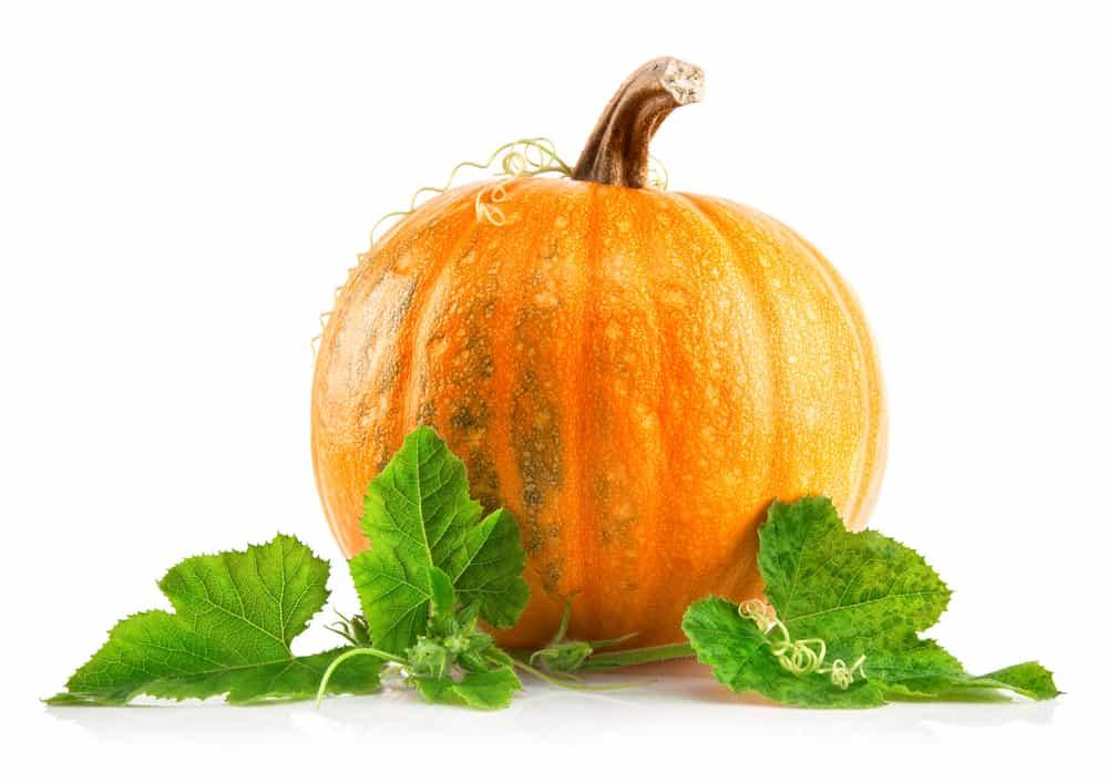 health-benefits-of-pumpkin-leaves