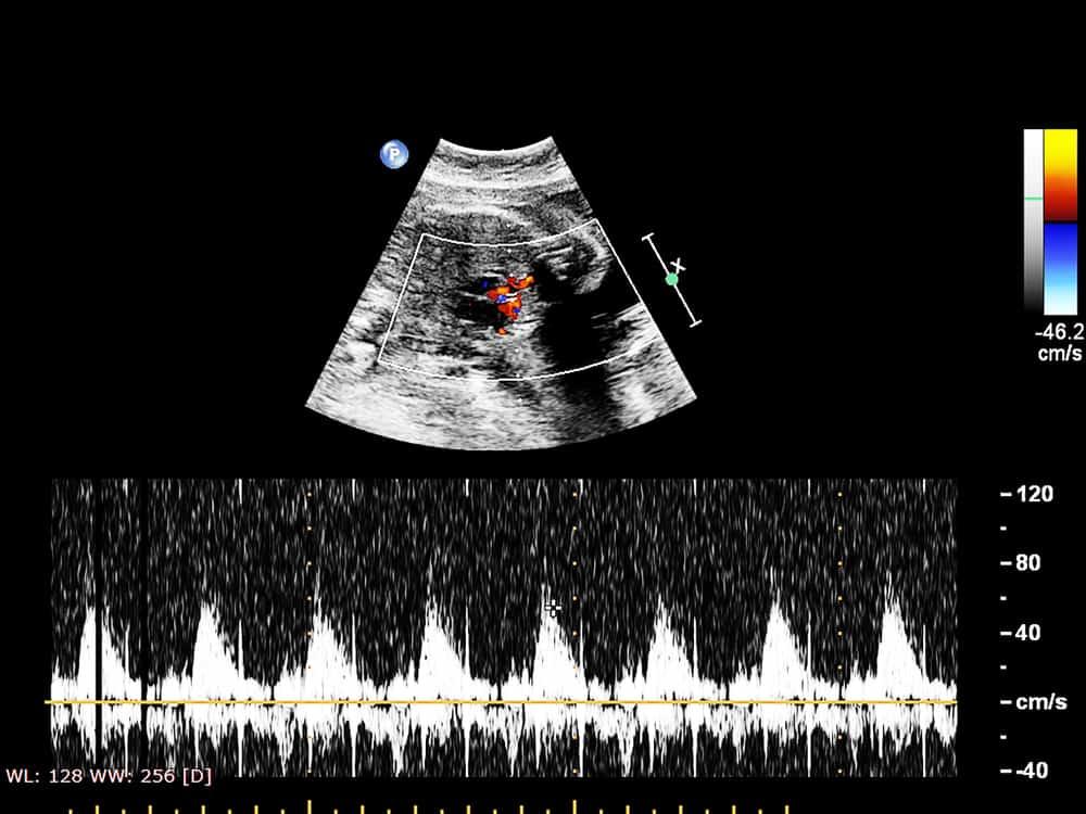 %e1%80%99%e1%80%bd%e1%80%b1%e1%80%b8%e1%80%9c%e1%80%ac%e1%80%99%e1%80%9a%e1%80%b7%e1%80%ba-%e1%80%9b%e1%80%84%e1%80%ba%e1%80%9e%e1%80%bd%e1%80%b1%e1%80%b8%e1%80%84%e1%80%9a%e1%80%ba%e1%80%99%e1%80%be