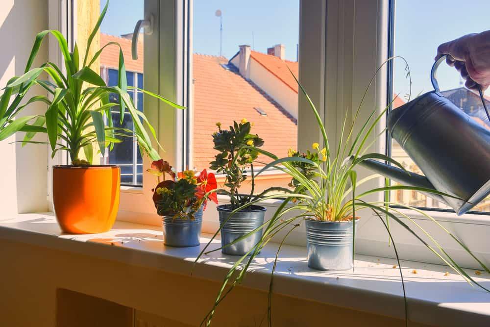 %e1%80%85%e1%80%ad%e1%80%90%e1%80%ba%e1%80%a1%e1%80%b1%e1%80%b8%e1%80%81%e1%80%bb%e1%80%99%e1%80%ba%e1%80%b8%e1%80%9e%e1%80%ac-%e1%80%95%e1%80%bb%e1%80%b1%e1%80%ac%e1%80%ba%e1%80%9b%e1%80%bd%e1%80%be