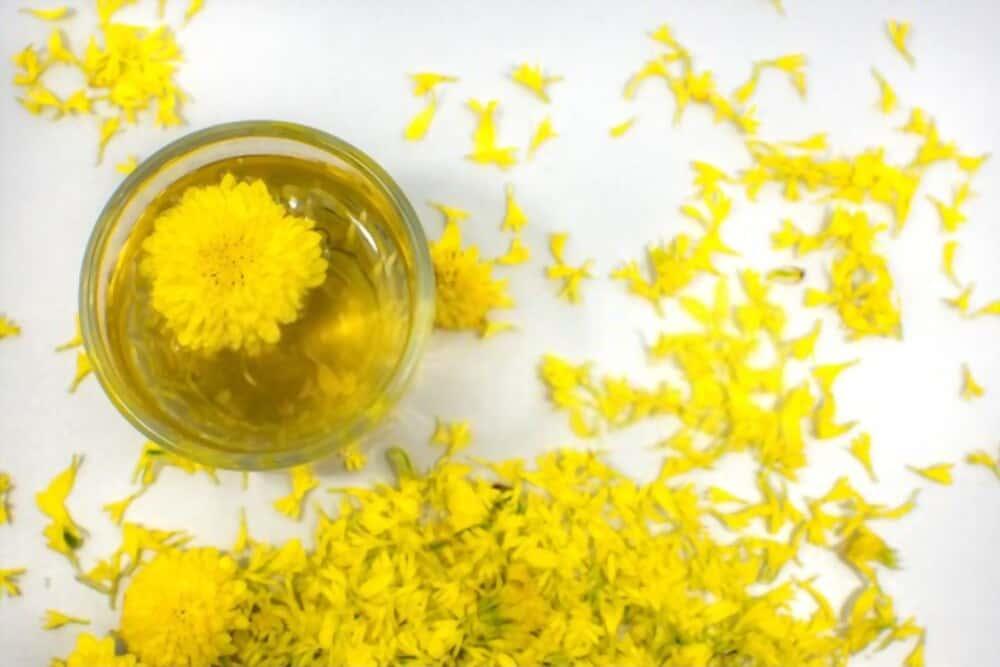how-chrysanthemum-tea-benefits-health